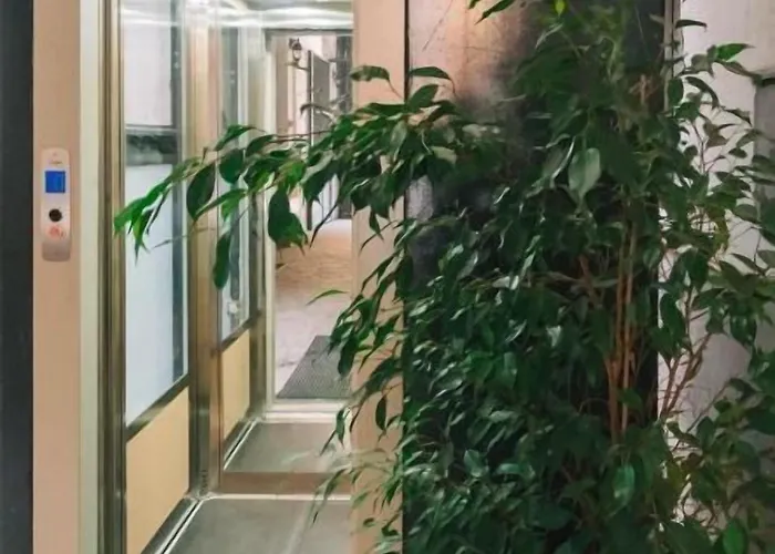 Vistaviva 4* نابولي